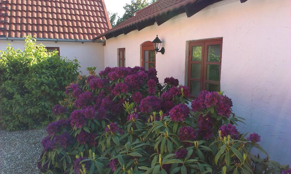 Vranum Guesthouse 维堡 外观 照片