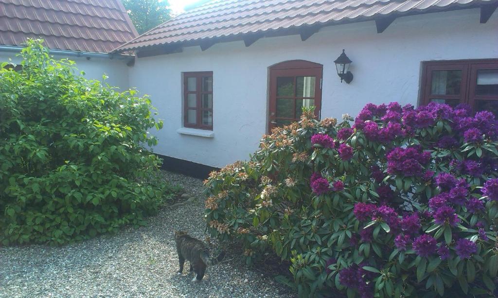 Vranum Guesthouse 维堡 外观 照片