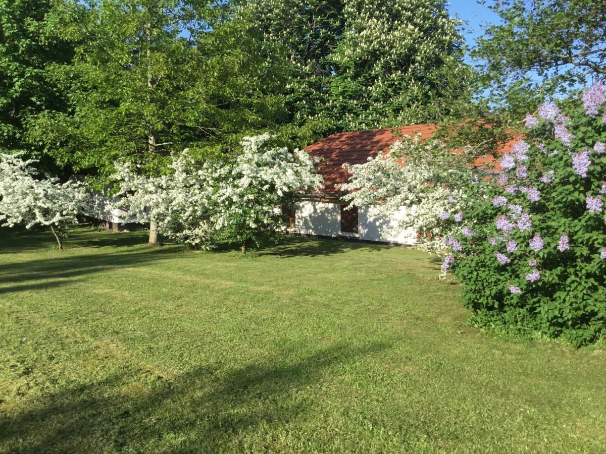 Vranum Guesthouse 维堡 外观 照片